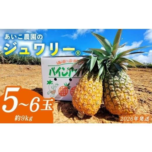 ふるさと納税 果物類 沖縄県 東村 あいこ農園のジュワリー 5〜6玉(約9kg) 2026年発送 沖縄県産 東村 パイナップル ジューシー 希少 高級フルーツ 南国フル…