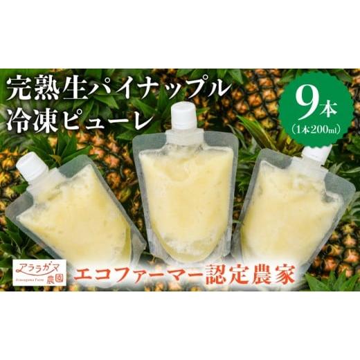 ふるさと納税 果物類 沖縄県 竹富町 水なし、加熱なし、砂糖なし 天然まるごと 完熟生パイナップル冷凍ピューレ200ml×9本セット 200ml×9本