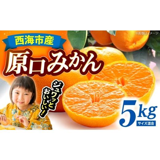 ふるさと納税 地域のお礼の品 長崎県 西海市 11月中旬より配送開始 原口みかん 約5kg (S,Mサイズ混合) 濱崎ファーム