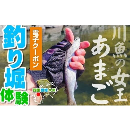 ふるさと納税 体験チケット 愛媛県 大洲市 電子クーポン 透き通る渓流の流れ あまご釣り堀体験 クーポン(お一人様分)愛媛県大洲市/株式会社ゆうとぴあ河辺…