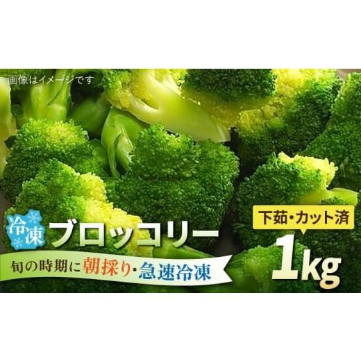 ふるさと納税 野菜類 福岡県 糸島市 ブロッコリー 1kg 冷凍 旬の時期に急速冷凍 福岡県糸島産 糸島市 / オーガニックナガミツファーム 野菜