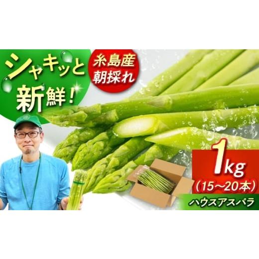 ふるさと納税 野菜類 アスパラガス 福岡県 糸島市 糸島・芥屋の海風と天日塩仕立て 甘味シャキッ 朝採れハウスアスパラ 1kg(S-L混合) 糸島市 / 糸島ひなた…