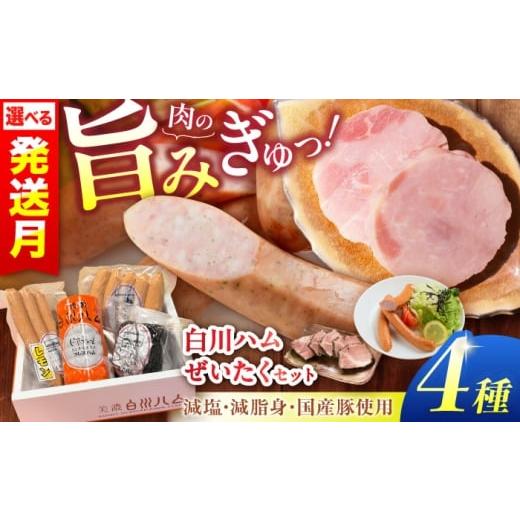 ふるさと納税 肉 ハム 岐阜県 白川町 通常発送 白川ハム 美濃白川ハム 4種セット(プレスハム・パストラミハム・ウインナー・レモンウインナー)ハム はむ ウ…