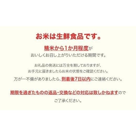 ふるさと納税 米 はえぬき 山形県 村山市 米 30kg 10kg×3 はえぬき 精米 令和7年産 2026年7月上旬 mk-haxxa30-s7a 2026年7月上旬の画像