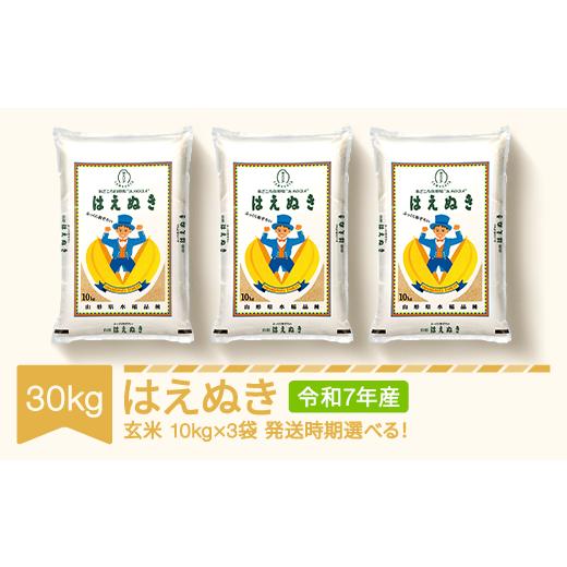 ふるさと納税 米 はえぬき 山形県 村山市 米 30kg 10kg×3 はえぬき 玄米 令和7年産 2026年7月上旬 mk-haxxa30-g7a 2026年7月上旬の画像