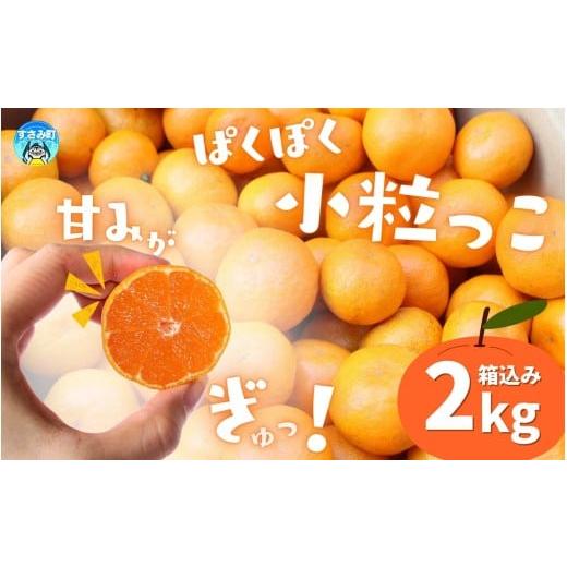 ふるさと納税 果物類 みかん 和歌山県 すさみ町 お試しにピッタリ 温州みかん 「小粒っこ」 2kg 箱込み 秀優混合 2S〜3Sサイズおまかせ 2025年10月中旬〜2026…