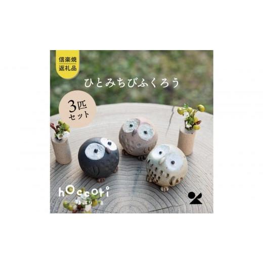 ふるさと納税 陶磁器・漆器・ガラス 滋賀県 甲賀市 信楽焼・明山 ひとみちびふくろう 3匹セット hc-060708