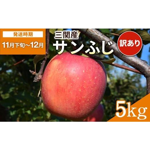 ふるさと納税 りんご 秋田県 湯沢市 三関産 りんご サンふじ 5kg 訳ありふじりんご ふるさと納税 旬 果物 フルーツ ジューシー 甘い 秋田県 湯沢市三関産 藤利…