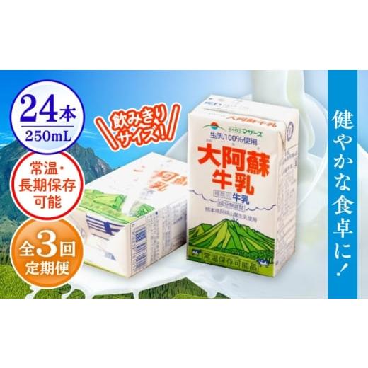 ふるさと納税 飲料類 牛乳 熊本県 合志市 全3回定期便 大阿蘇牛乳 250ml (24本入り)牛乳 ミルク カルシウム 熊本県産 国産 合同会社 たべたせいか