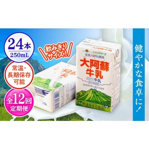 ふるさと納税 飲料類 牛乳 熊本県 合志市 全12回定期便 大阿蘇牛乳 250ml (24本入り)牛乳 ミルク カルシウム 熊本県産 国産 合同会社 たべたせいか AYCB152…