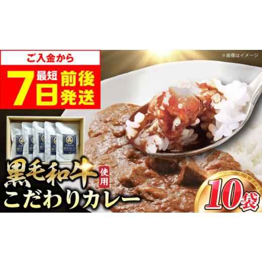 ふるさと納税 加工品等 レトルト 大阪府 高槻市 年内発送 スピード発送 カレー モリタ屋オリジナル和牛カレー10袋 カレー カレーレトルト 人気 レトルトカレ…