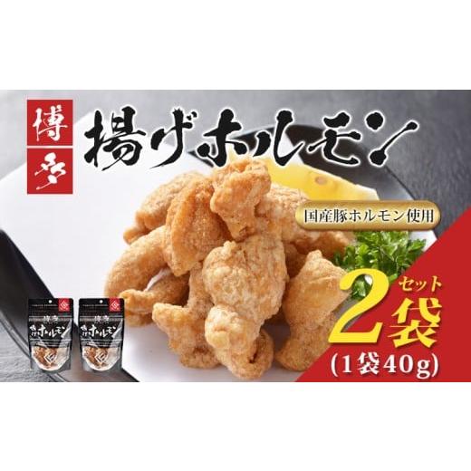 ふるさと納税 豚肉 ホルモン 福岡県 古賀市 博多揚げホルモン(2袋セット) ホルモン 国産豚 唐揚げ おつまみ 送料無料 メール便(ポスト投函)