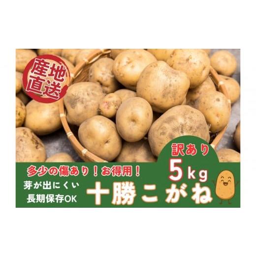 ふるさと納税 野菜類 じゃがいも 宮城県 美里町 訳あり お買い得 万能じゃがいも5kg