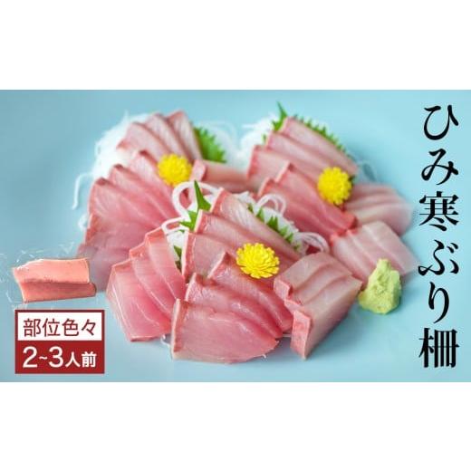 ふるさと納税 旬の鮮魚等 富山県 氷見市 先行予約 ひみ寒ぶり 柵 2-3人前(部位色々)