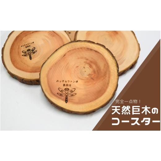 ふるさと納税 木工品・竹工品 和歌山県 古座川町 天然巨木の枝から作った一点物 コースター
