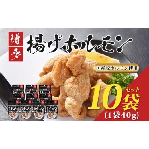 ふるさと納税 豚肉 ホルモン 福岡県 古賀市 博多揚げホルモン(10袋セット) ホルモン 国産豚 唐揚げ おつまみ 送料無料