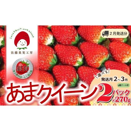 ふるさと納税 いちご 兵庫県 西脇市 [2026年産先行予約]「西脇市産 佐藤果実工房 あまクイーン」(約270g×2パック 約540g) 佐藤果実工房 全国いちご選手…