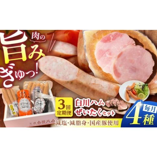 ふるさと納税 肉 ハム 岐阜県 白川町 3回定期便 美濃白川ハム 4種セット ( プレスハム ・ パストラミハム ・ ウインナー ・ レモンウインナー ) ハム プレ…