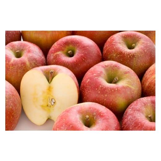 ふるさと納税 りんご 長野県 伊那市 サンふじ 訳ありリンゴ 5kg|りんご サンふじ 甘い 訳あり品 美味しい フルーツ 伊那 伊那産 長野県 ふるさと納税 010-a…