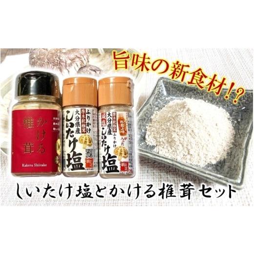 ふるさと納税 塩・だし ハーブ・風味付き 大分県 国東市 しいたけ塩とかける椎茸セット_2630R