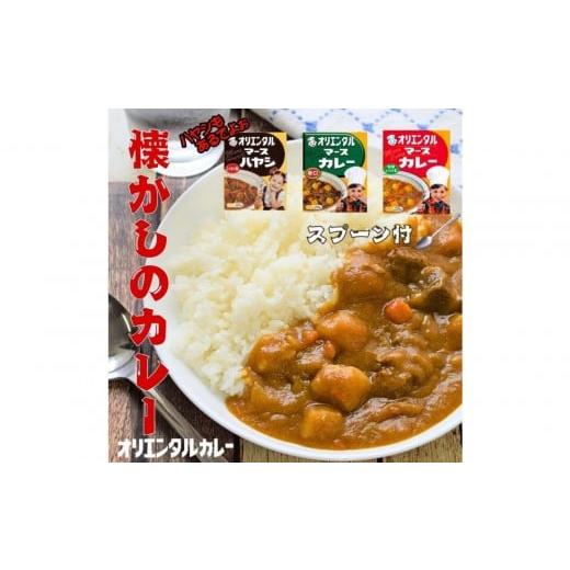 ふるさと納税 加工品等 レトルト 愛知県 稲沢市 オリエンタルなつかしのカレー&ハヤシセット(3種類9個+オリジナルスプーン付)