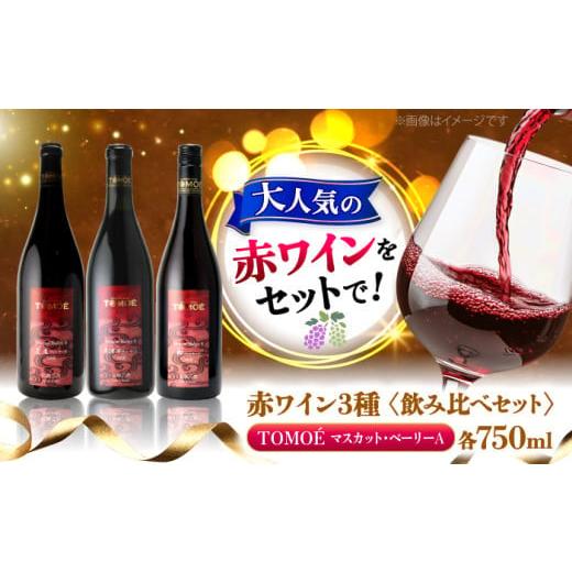 ふるさと納税 ワイン 広島県 三次市 お歳暮ギフト対象 スピード発送 ワインセット 〜三次のMBAを味わう〜 赤ワイン 3本セット マスカット・ベーリーA 3ヴァイ…