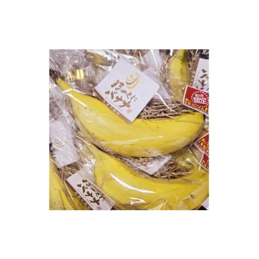 ふるさと納税 果物類 愛知県 豊川市 ほのくにバナナ 170g以上(LL)8本入り 1641182