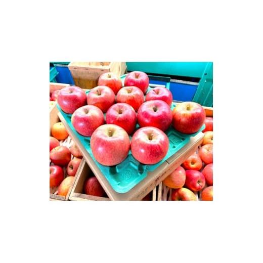 ふるさと納税 りんご 青森県 青森市 2025年12月発送予定 平均糖度13度以上 葉とらずサンふじ 約3kg 訳あり 1682156