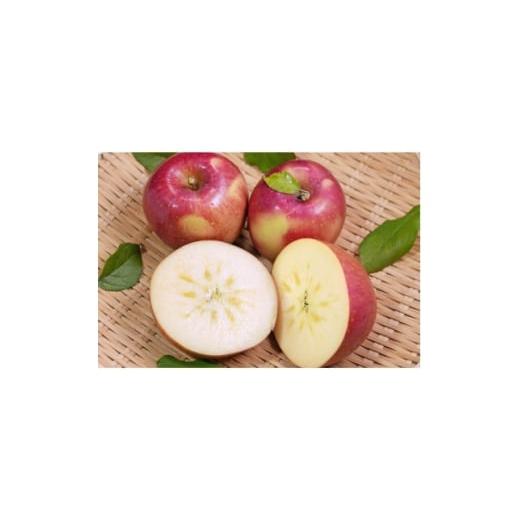 ふるさと納税 りんご 青森県 青森市 2025年12月発送予定 平均糖度13度以上 おもてなし用葉とらずサンふじ 約3kg 1682159