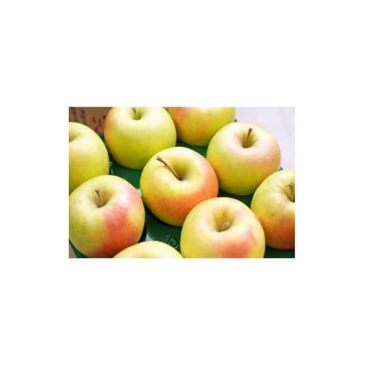 ふるさと納税 りんご 青森県 青森市 2025年12月発送予定 糖度13度以上保証 ぐんま名月約3kg(6〜18玉)訳あり 1682186