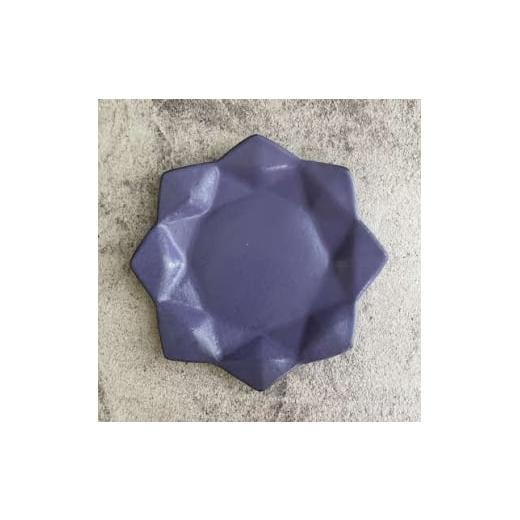 ふるさと納税 食器・グラス 皿 徳島県 東みよし町 星屑の器 計1個 徳島産 1640761