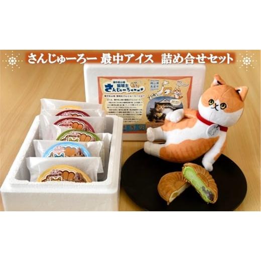 ふるさと納税 菓子 アイス 岡山県 高梁市   さんじゅーろー 最中アイス 詰め合わせ セット(6個入り)