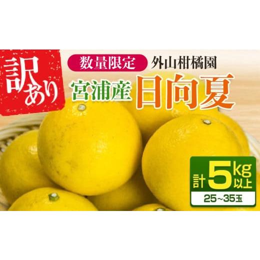 ふるさと納税 果物類 みかん 宮崎県 日南市 先行予約 訳あり 宮浦産 日向夏 計5kg以上 期間限定 数量限定 フルーツ 果物 くだもの 柑橘 みかん 令和8年発送 国…