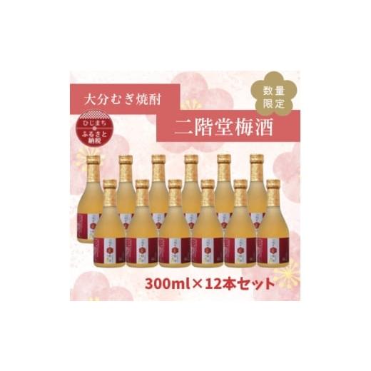 ふるさと納税 お酒 大分県 日出町 数量限定 大分むぎ焼酎 二階堂梅酒(300ml)12本セット 1683542