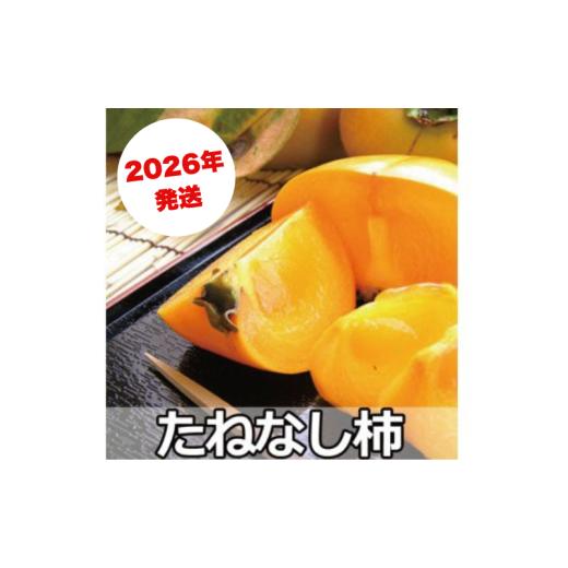 ふるさと納税 果物類 柿 和歌山県 かつらぎ町 採れたてタネなし柿“Mサイズ" 約7.5kg 2026年10月中旬〜10月下旬頃発送予定