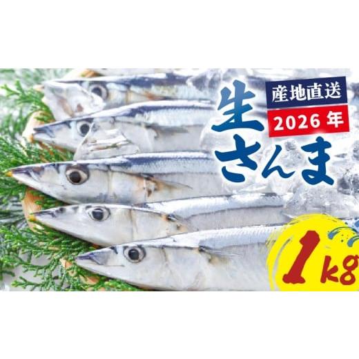 ふるさと納税 魚貝類 さんま 岩手県 大船渡市 2026年先行予約 さんま 約1kg サンマ 冷蔵 秋刀魚 鮮さんま 限定 期間限定 旬 簡単調理 焼き魚 煮魚 フライ お…