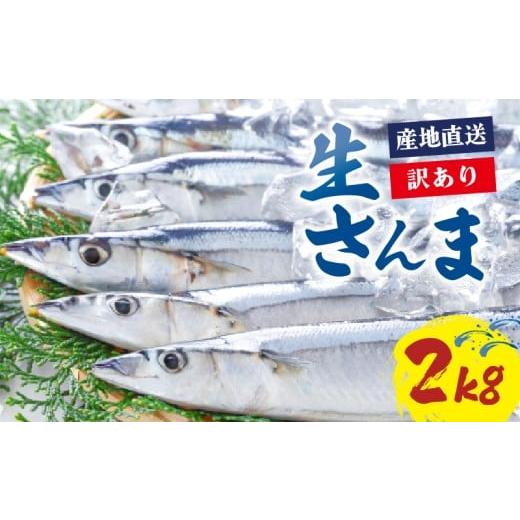 ふるさと納税 魚貝類 さんま 岩手県 大船渡市 2026年先行予約 訳あり さんま 約2kg サンマ 冷蔵 秋刀魚 鮮さんま 限定 期間限定 旬 簡単調理 焼き魚 煮魚 フ…