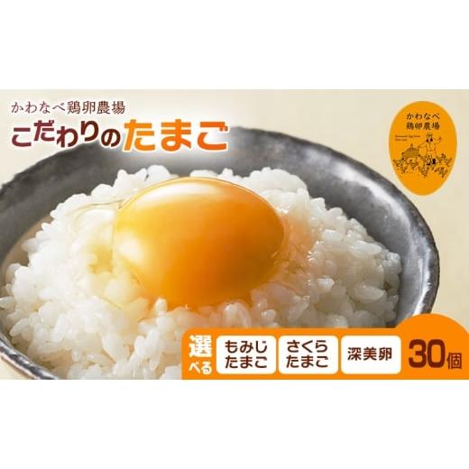ふるさと納税 卵(鶏、烏骨鶏等) 東京都 青梅市 品種を選べる かわなべ鶏卵農場のこだわりのたまご30個 深美卵/こだわり 国産 青梅市産 鶏 鳥 卵 たまご タ…