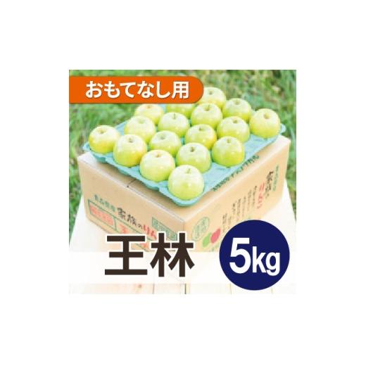 ふるさと納税 りんご 青森県 大鰐町 平均糖度13度以上 王林 約5kg おもてなし用 1667953