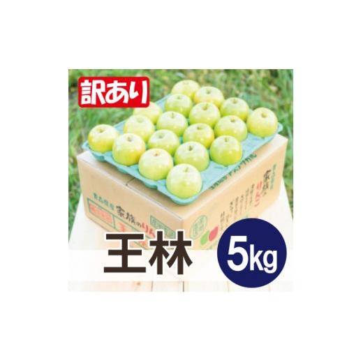 ふるさと納税 りんご 青森県 大鰐町 平均糖度13度以上 王林 約5kg 訳あり 1667955