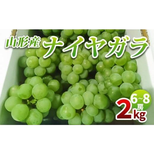 ふるさと納税 果物類 ぶどう 山形県 山形市 山形産 ナイヤガラ2kg 秀品(6〜8房) 令和8年産先行予約 FS25-078