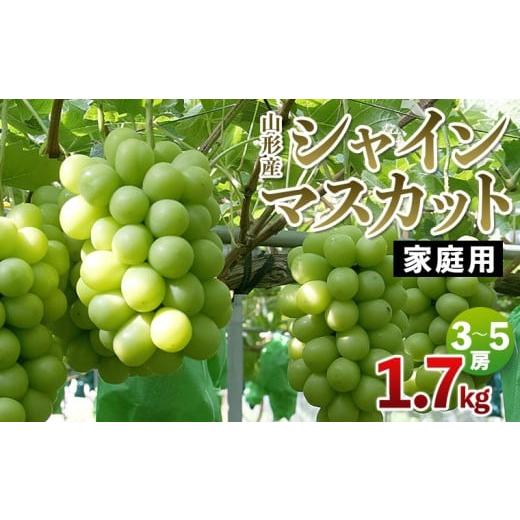 ふるさと納税 果物類 ぶどう 山形県 山形市 家庭用 山形産 シャインマスカット 1.7kg(3〜5房) 令和8年産先行予約 FS25-080