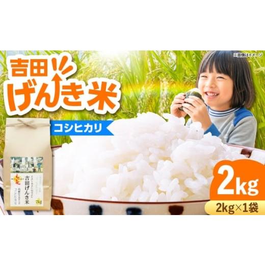 ふるさと納税 米 コシヒカリ 島根県 雲南市 新米 吉田げんき米コシヒカリ 2kg 島根県雲南市/有限会社藤本米穀店 |こしひかり 白米 精米 コメ 2キロ AIDB116…