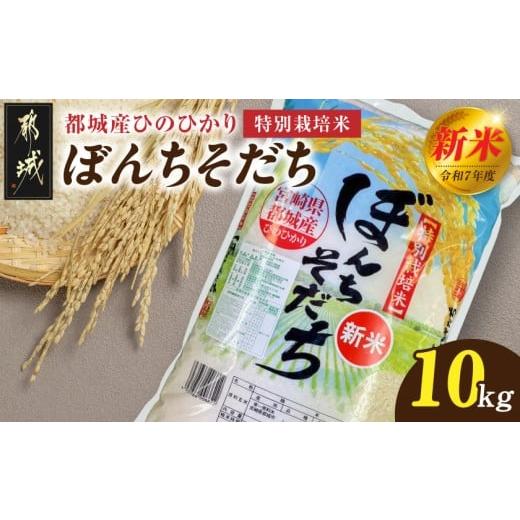 ふるさと納税 米 ヒノヒカリ 宮崎県 都城市 都城産ひのひかり特別栽培米「ぼんちそだち」10kg(5kg×2袋)_31-N501_(都城市) 都城産 お米 10kg 5kg×2 ひのひか…