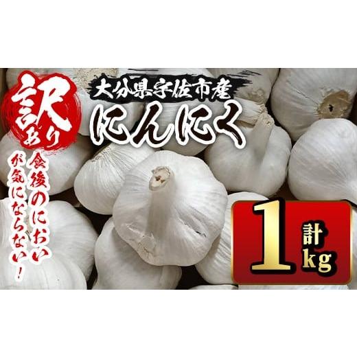 ふるさと納税 野菜類 大分県 宇佐市 訳あり・不揃い 食後のにおいが気にならないニンニク(計1kg) にんにく ニンニク 野菜 116600200 シイズンドアグリ