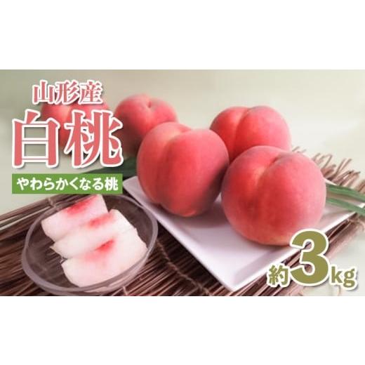 ふるさと納税 もも 山形県 山形市 山形産 白桃約3kg(7〜11玉) (やわらかくなる桃) 令和8年産先行予約 FS25-081