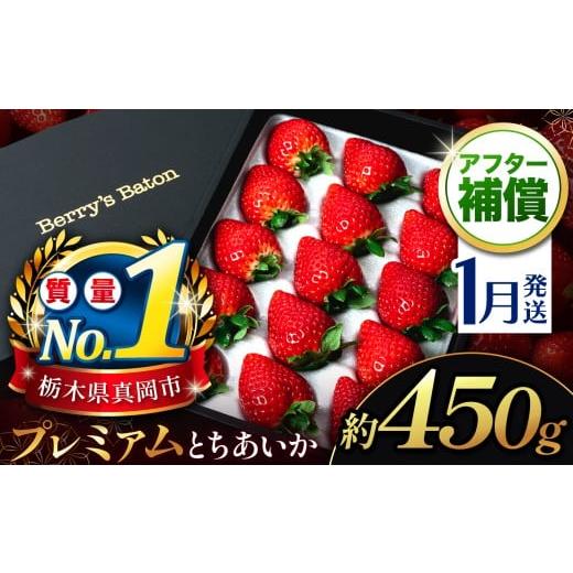 ふるさと納税 いちご 栃木県 真岡市 1月発送発送 とちあいか贈答用 黒箱450g |栃木県 真岡市 果物 苺 イチゴ 人気 数量限定 ギフトBOX 日本一 いちご王国栃…