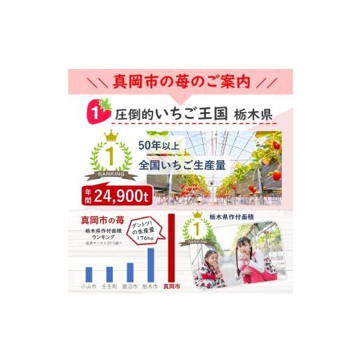 ふるさと納税 いちご 栃木県 真岡市  先行予約 定期便2回 とちあいか贈答用 黒箱450g ｜果物 苺 イチゴ 人気 ギフトBOX 栃木県 真岡市 定期便2回 | 28,000円_3
