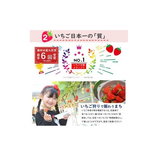 ふるさと納税 いちご 栃木県 真岡市  先行予約 定期便2回 とちあいか贈答用 黒箱450g ｜果物 苺 イチゴ 人気 ギフトBOX 栃木県 真岡市 定期便2回 | 28,000円_4