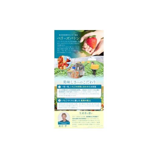 ふるさと納税 いちご 栃木県 真岡市  先行予約 定期便2回 とちあいか贈答用 黒箱450g ｜果物 苺 イチゴ 人気 ギフトBOX 栃木県 真岡市 定期便2回 | 28,000円_5
